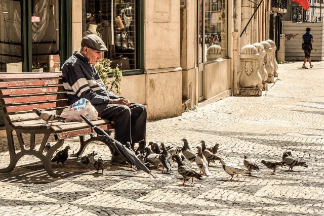 senior,  stařík,  krmení holubů | foto: Fotobanka Pixabay
