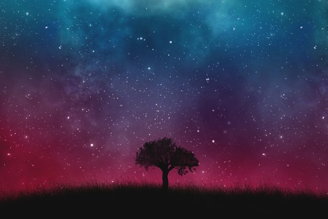 Vesmír,  louka,  obloha,  noc | foto:  pixabay.com