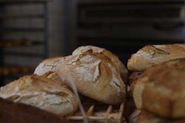 Chléb,  ilustrační foto | foto: Milan Kopecký