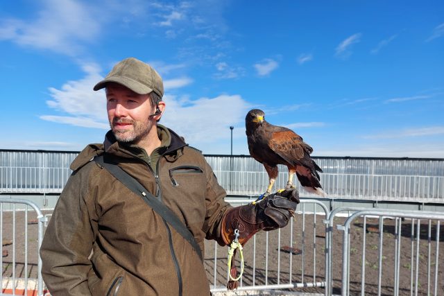 Sokolník Marcel Kosina | foto: Irena Šarounová,  Český rozhlas
