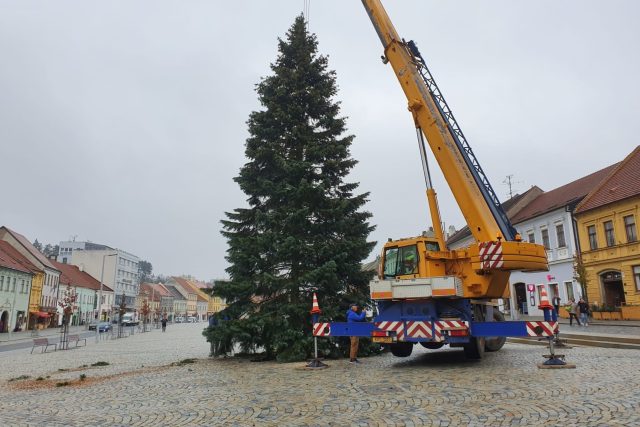 Třebíč,  vánoční strom 2022 | foto: Tereza Pešoutová,  Český rozhlas Vysočina