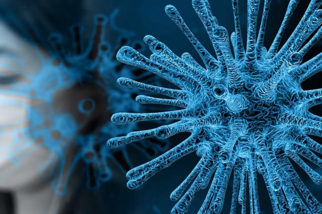 Koronavirus,  ilustrační foto | foto: Pixabay,  CC0 1.0