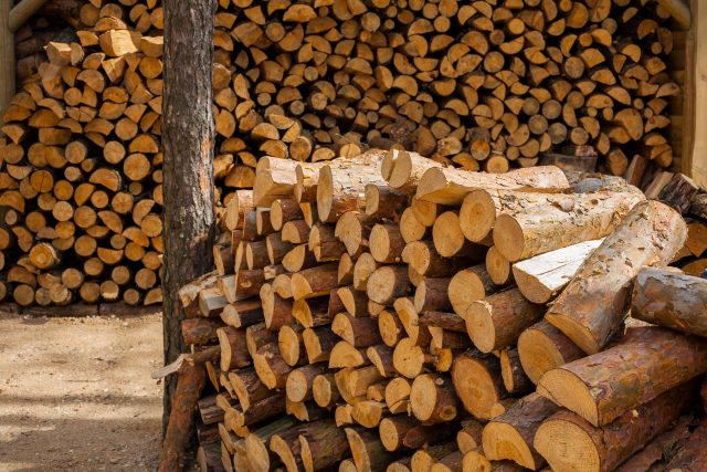 Palivové dřevo  (ilustrační foto) | foto: Fotobanka Profimedia