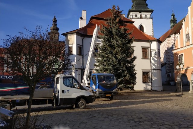 Vánoční strom,  Pelhřimov | foto: Tereza Pešoutová,  Český rozhlas