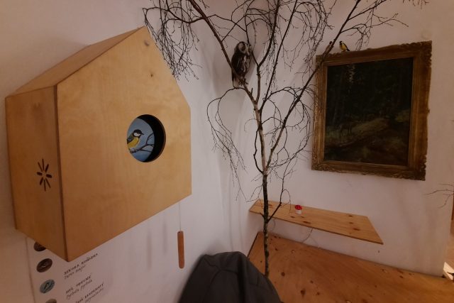 Ptačí orloj,  Horácké muzeum Nové Města na Moravě | foto: Patrik Salát,  Český rozhlas