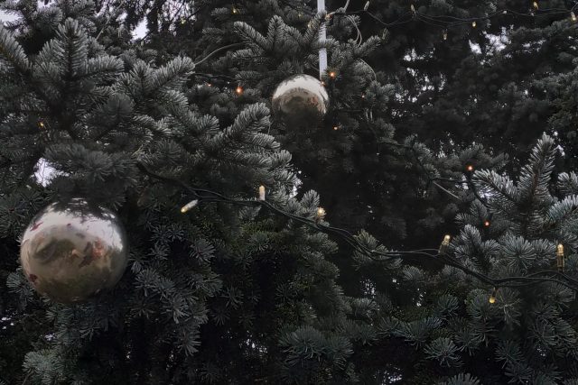 Žďár nad Sázavou,  vánoční výzdoba | foto: Tereza Pešoutová,  Český rozhlas