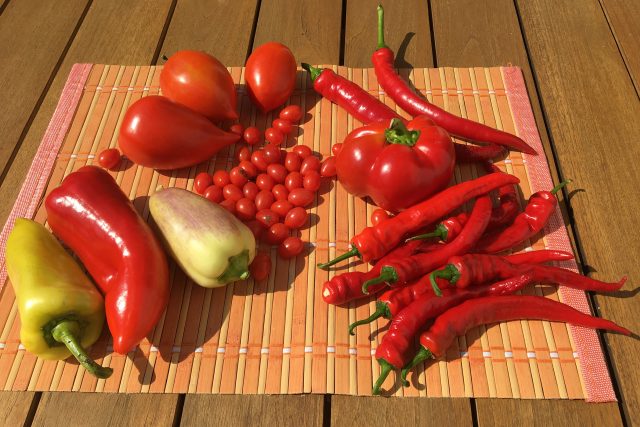 Zajímavé odrůdy paprika a rajčat - Dívčí prso  (vledo nahoře),  paprika Ostry  (zelená vledo dole),  Slovakia  (červená vlevo),  paprika Tamina  (placatá vpravo) | foto: František Hlubocký