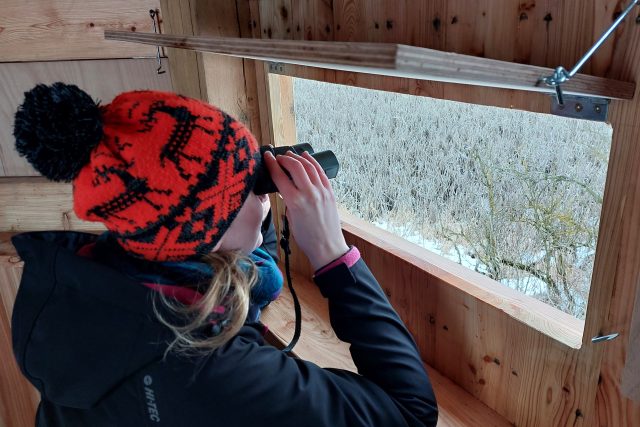Z nové pozorovatelny u Příseky můžete pozorovat ptactvo i zvěř | foto: Irena Šarounová,  Český rozhlas