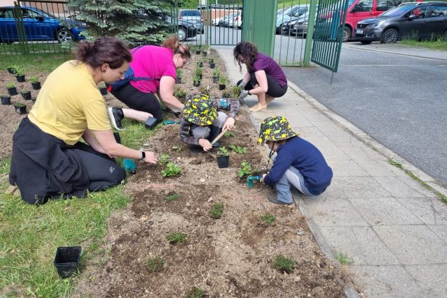 Děti z Mateřské školy Duha v Třebíči mění zahradu svojí školky na hmyzí ráj | foto: Milan Soldán,  Český rozhlas