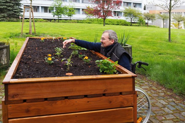 V jihlavské nemocnici můžou zahradničit i pacienti na vozíku | foto: Dáša Kubíková,  Český rozhlas