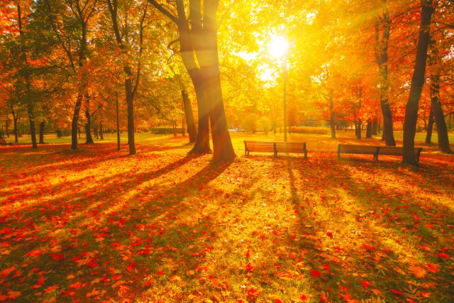 Podzim | foto: Shutterstock