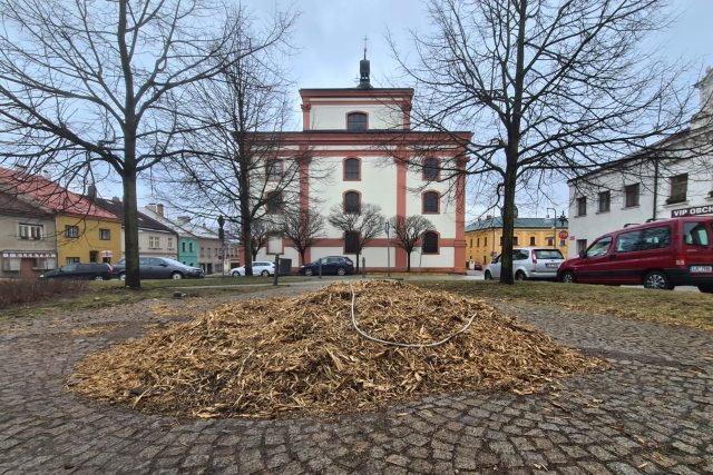 Na místě,  kde v Polné stával vánoční strom,  už je jenom pařez | foto: František Jirků,  Český rozhlas
