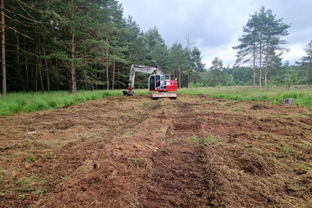 Revitalizace Dářských rašeliništ | foto: Tereza Pešoutová,  Český rozhlas