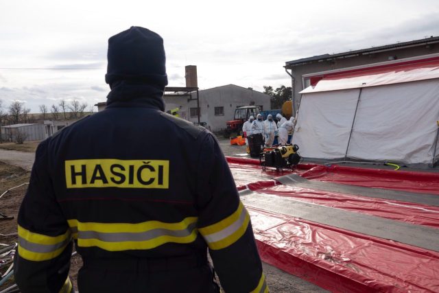 Hasiči a veterináři likvidovali ohnisko ptačí chřipky ve Valdíkově na Třebíčsku minulý týden | foto: HZS Kraje Vysočina