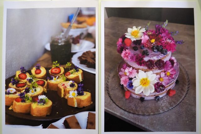 Jedlé květy se dají využít na ozdobu kanapek i dortů | foto: Dáša Kubíková,  Český rozhlas