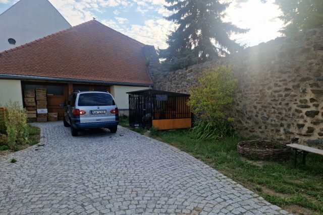 Kotec azylového domu pro psy v Jihlavě | foto: Tereza Pešoutová,  Český rozhlas