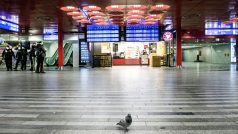 Sobotní dopoledne, Praha hlavní nádraží. Několik cestujících doplňují tři lidé z ochranné služby a holub.
